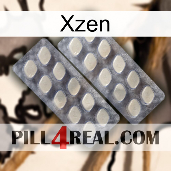 Xzen 07.jpg